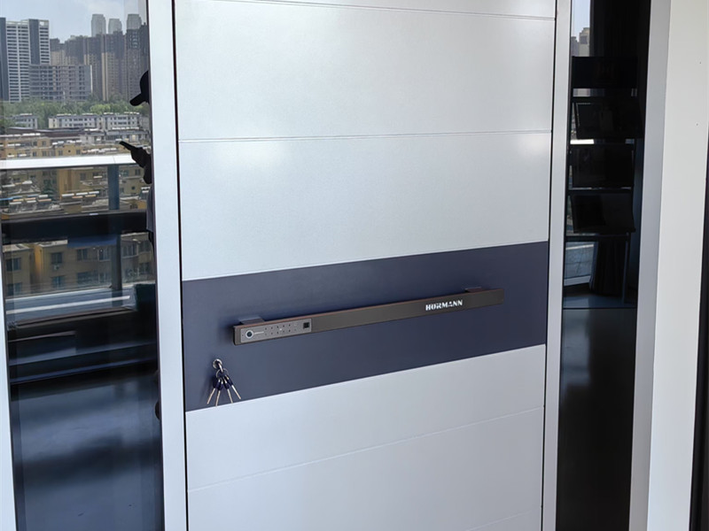 家用入户门HTA100